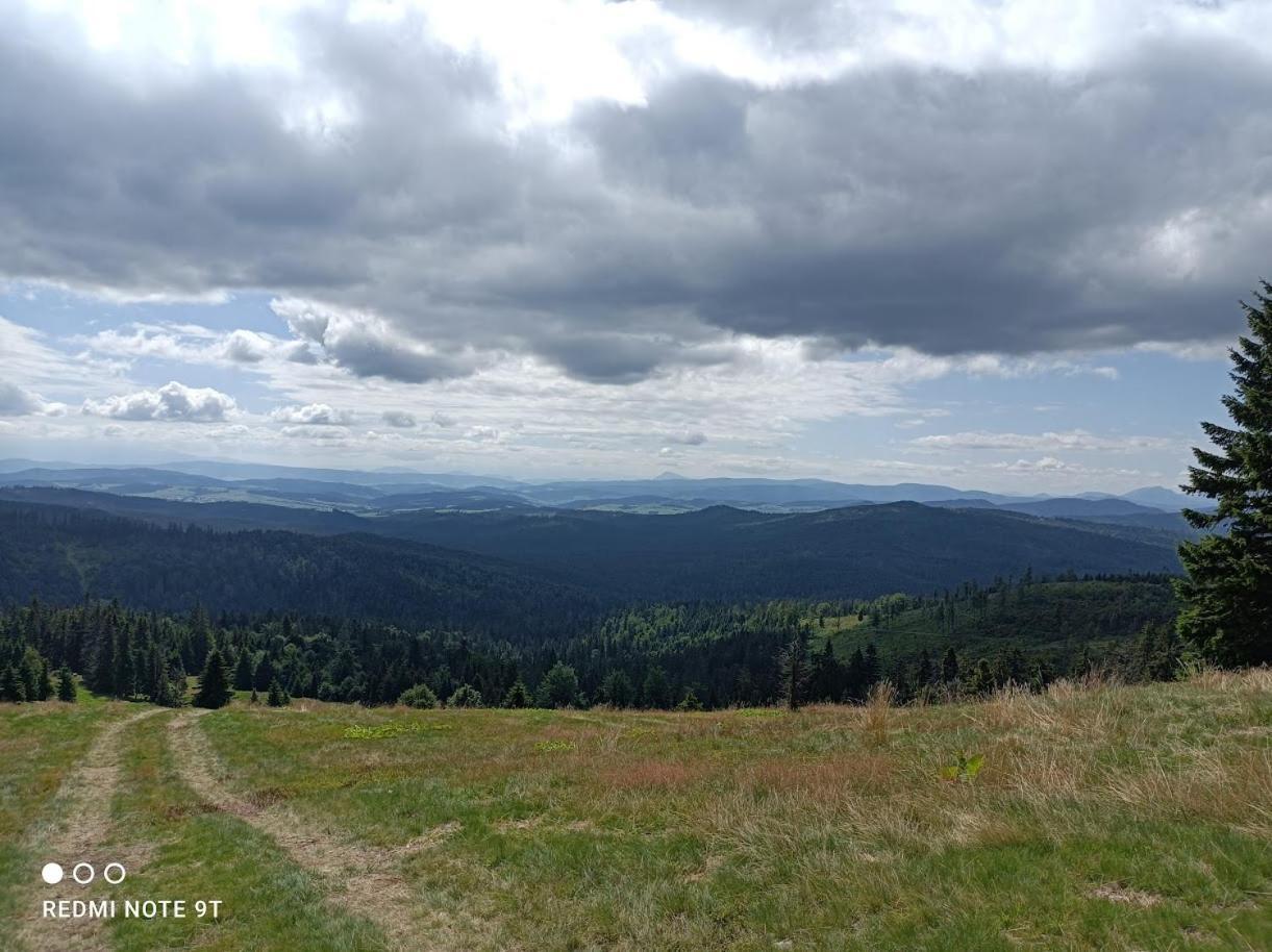 Willa Domowe Zacisze W Nickulinie Rajcza Zewnętrze zdjęcie