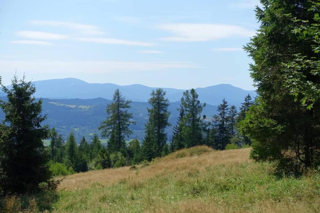 Willa Domowe Zacisze W Nickulinie Rajcza Zewnętrze zdjęcie