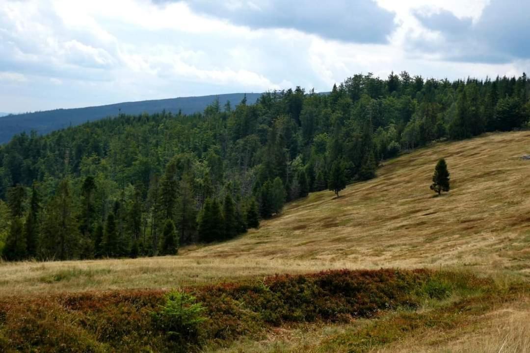 Willa Domowe Zacisze W Nickulinie Rajcza Zewnętrze zdjęcie