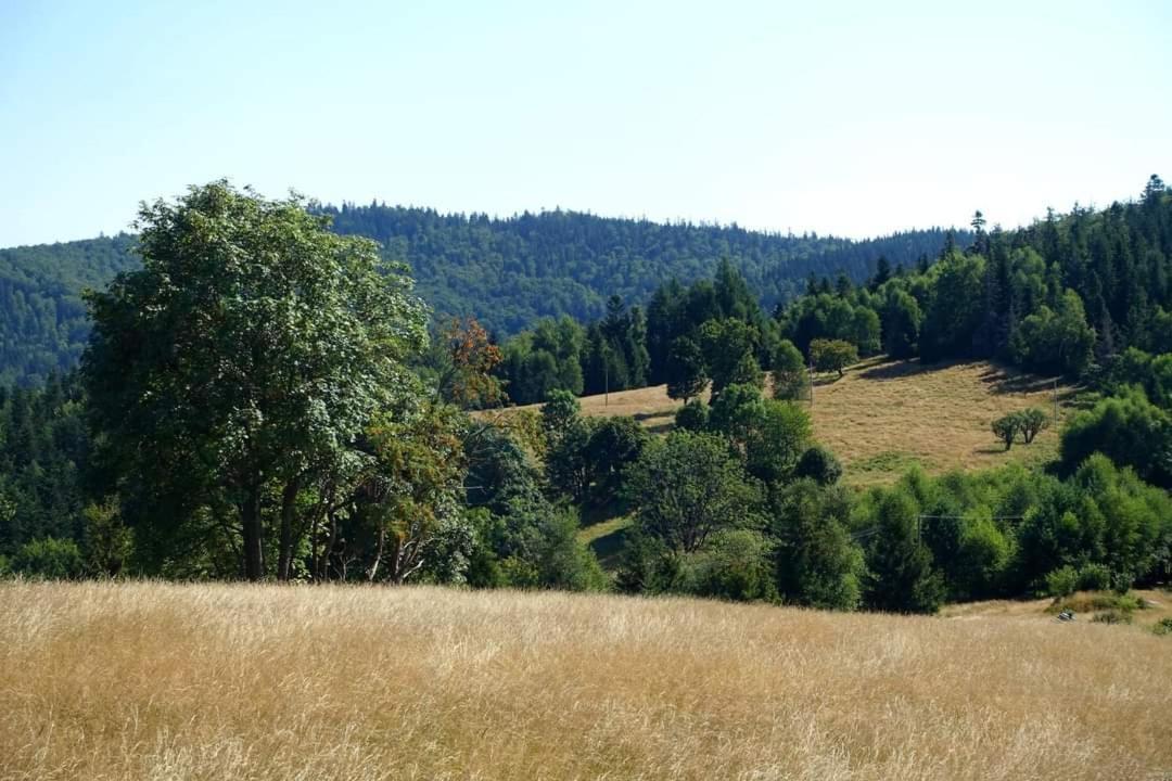 Willa Domowe Zacisze W Nickulinie Rajcza Zewnętrze zdjęcie